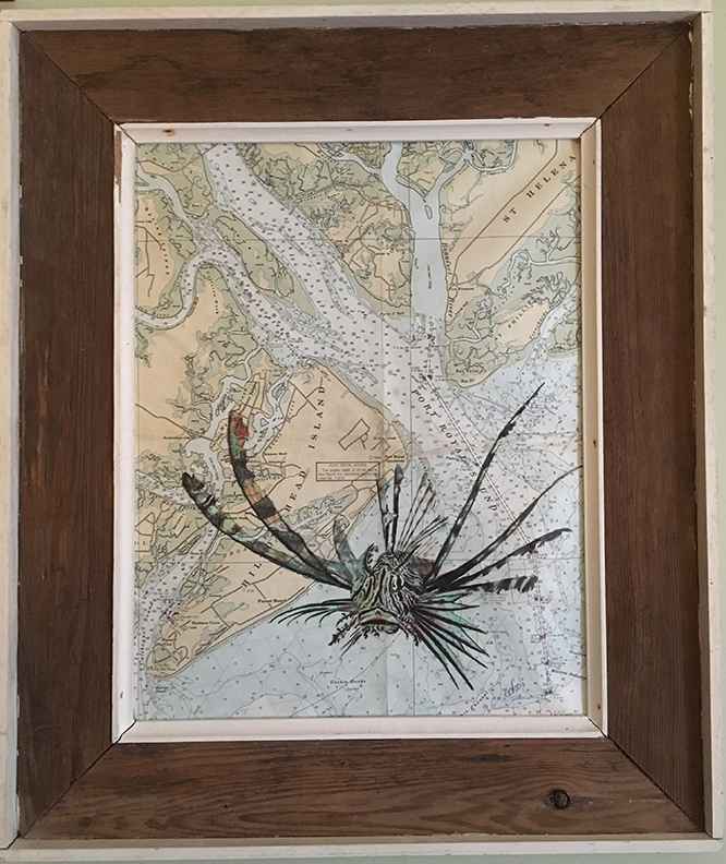 Photo of a framed drawing of a scorpionfish on a nautical chart