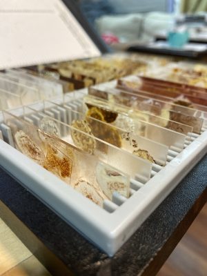 Micro Slides