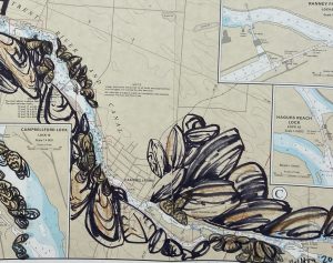 Zebra Mussels on Hagues Reach to Healy Falls