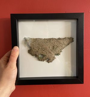 Toronto in weeds - handmade paper